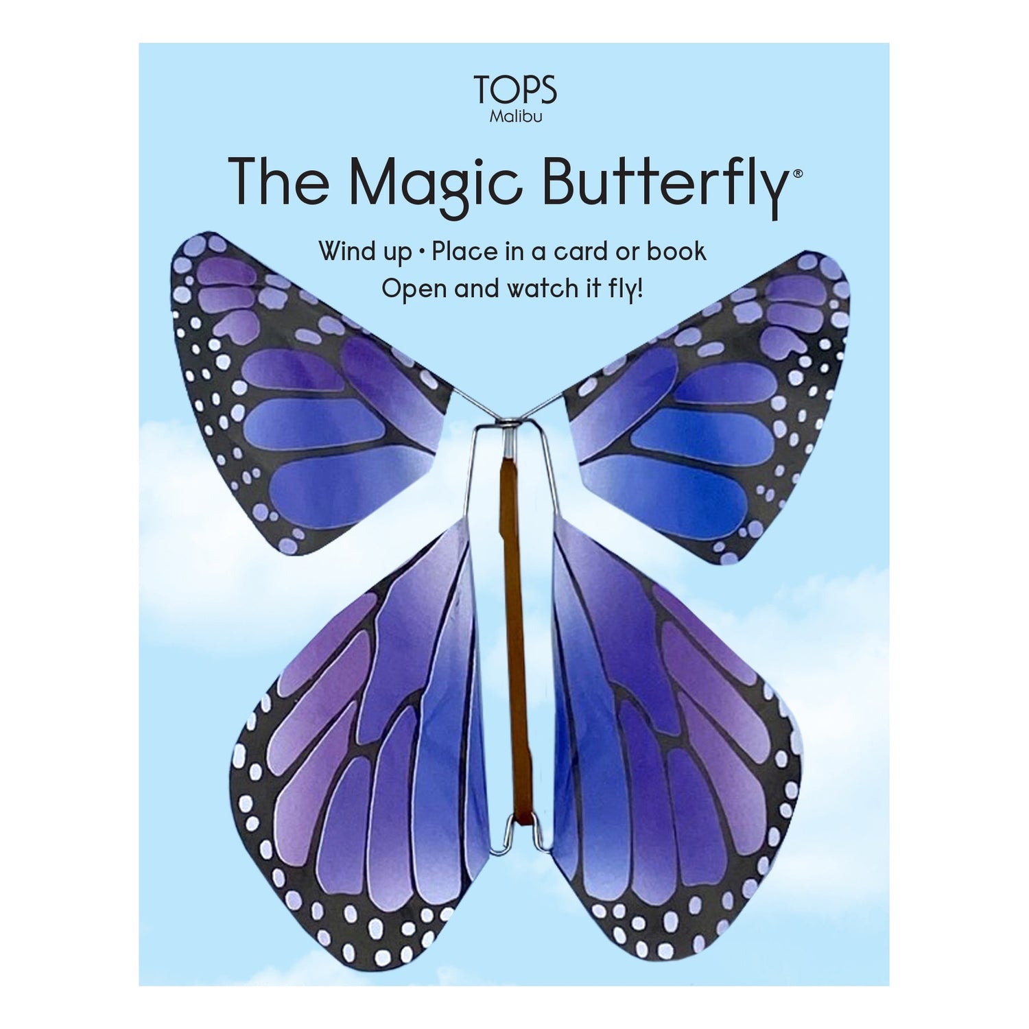 Magic Flying Butterfly Rainbow Colors