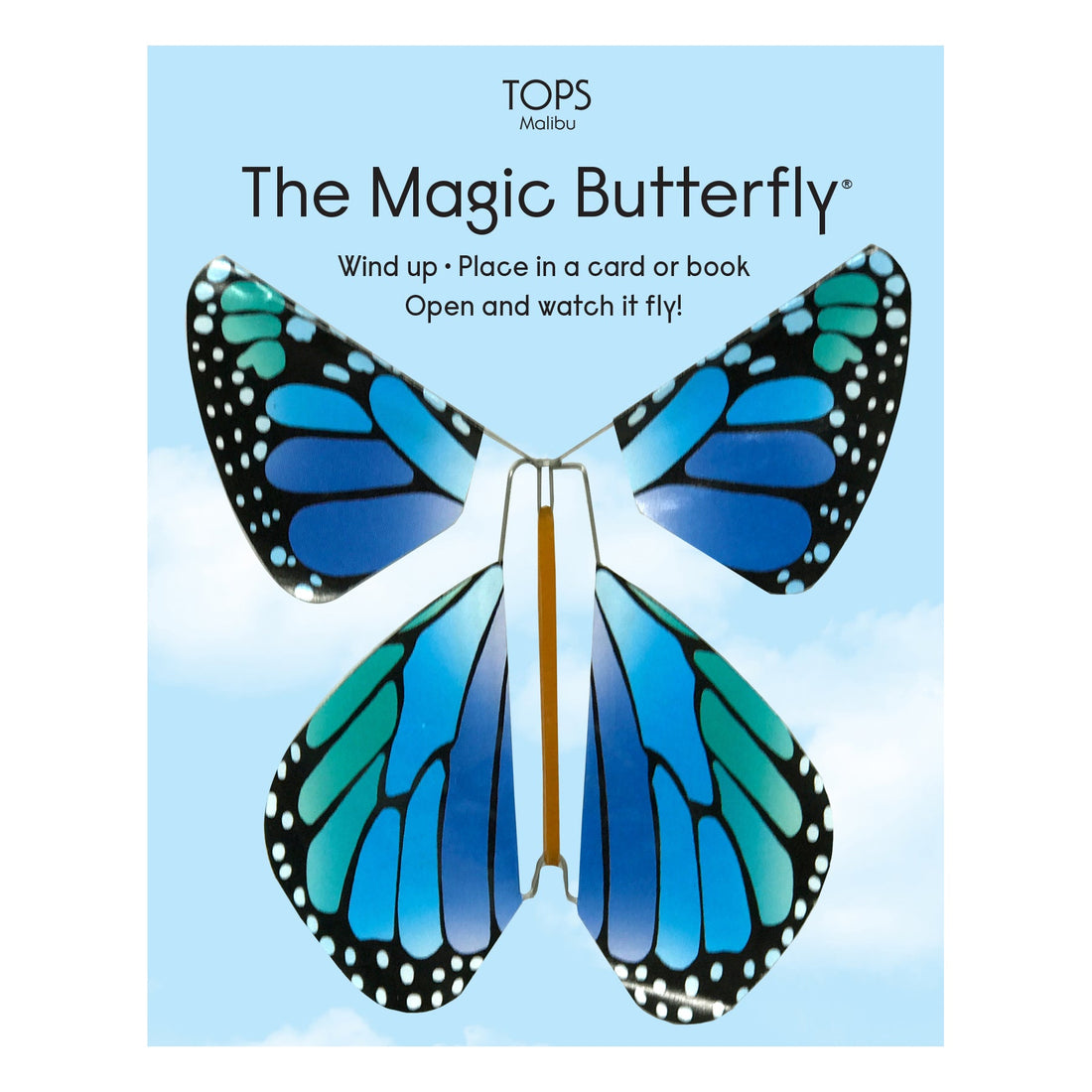 Magic Flying Butterfly Rainbow Colors