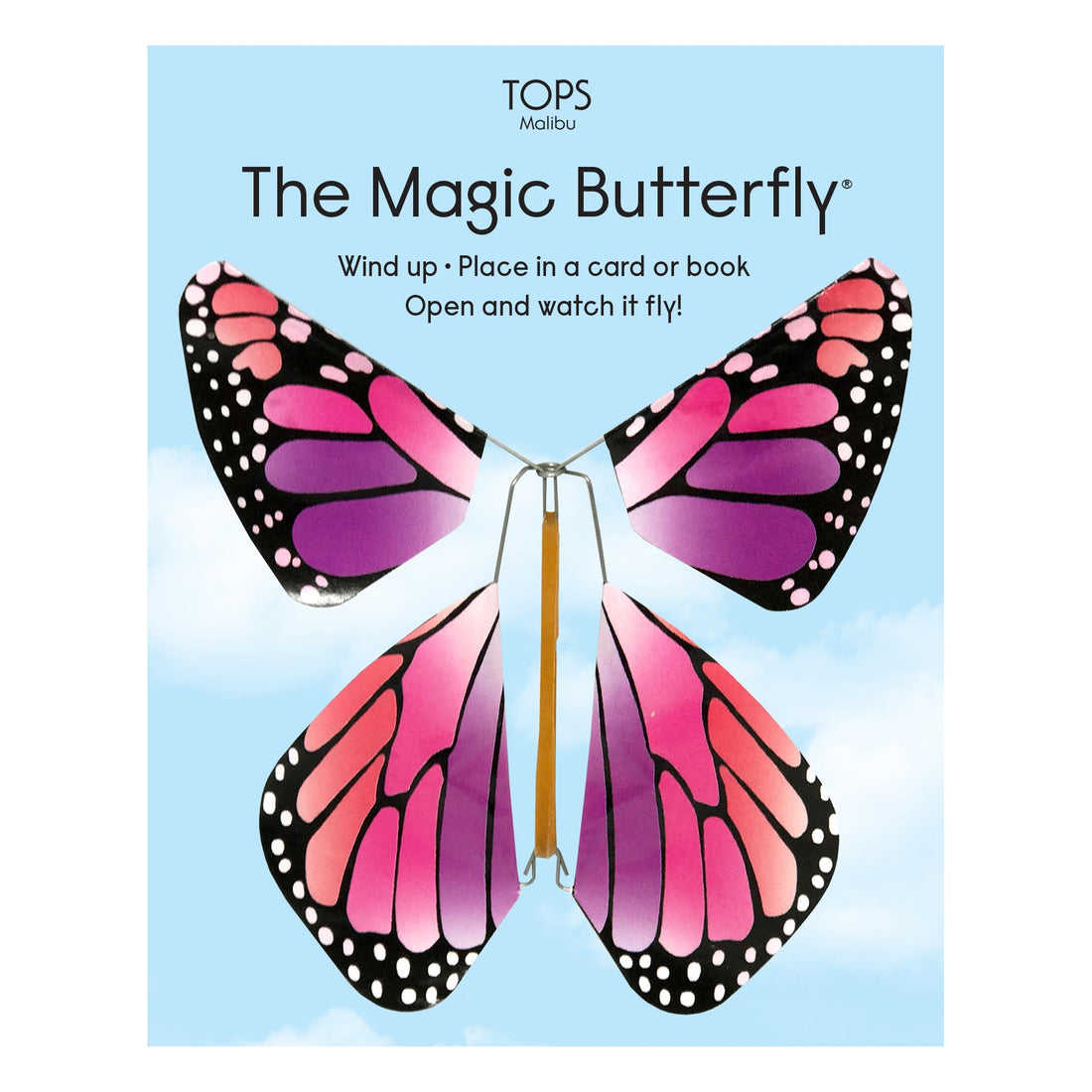 Magic Flying Butterfly Rainbow Colors