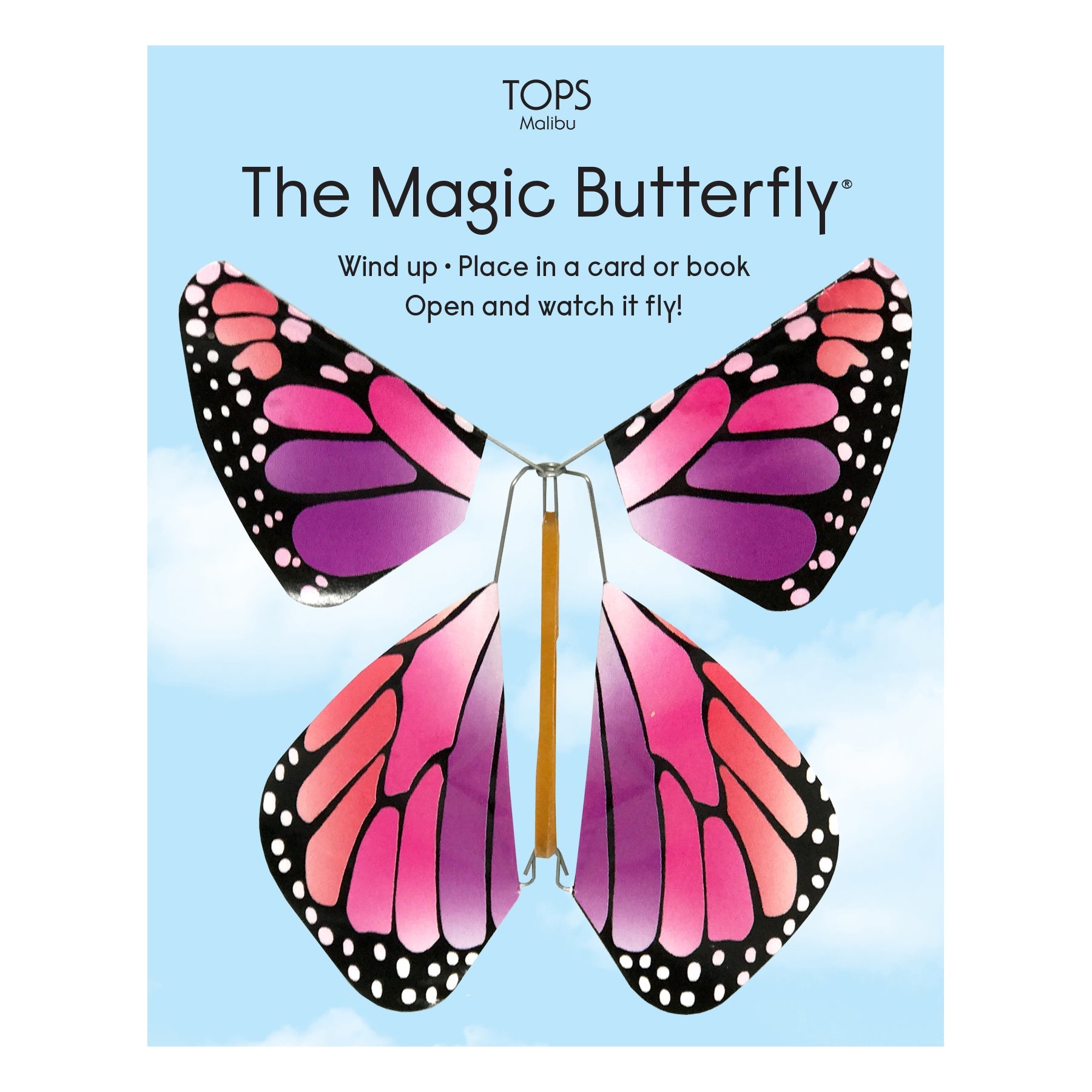 Magic Flying Butterfly Rainbow Colors