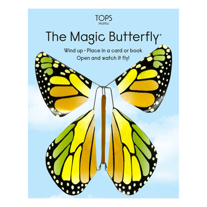Magic Flying Butterfly Rainbow Colors
