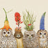 Artwork of four illustrated owls with various plants growing on their heads, inspired by Vicki Sawyer, are featured on the Big Hat Night Beverage Napkins from Paper Products Design.