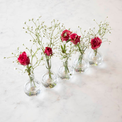 Quintet Glass Vase