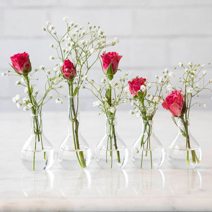 Quintet Glass Vase