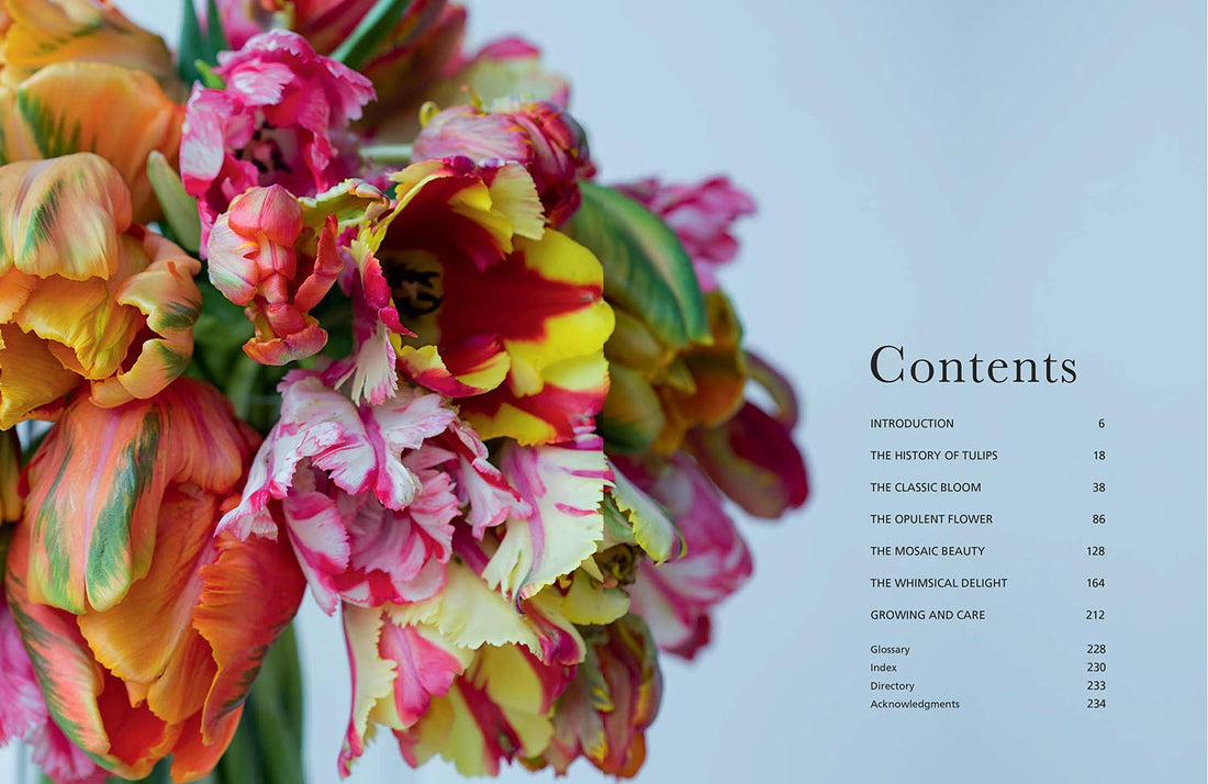 A Gibbs Smith book cover featuring a vibrant gardening bouquet of Tulips, with the title &quot;Tulips&quot; and a subtitle &quot;beautiful varieties for home and garden.
