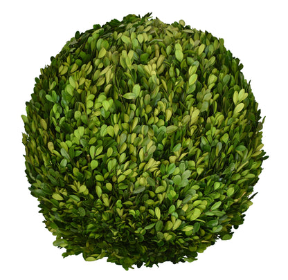 Preserved Boxwood Balls