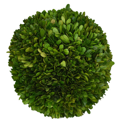 Preserved Boxwood Balls