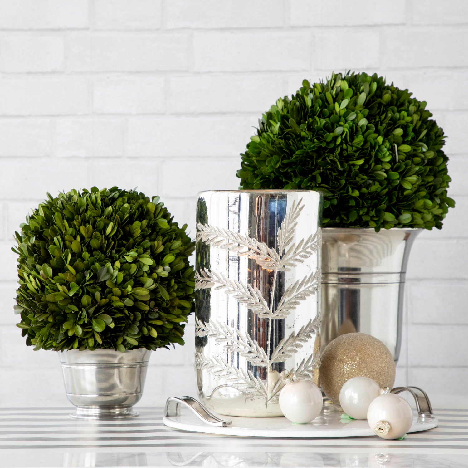 Preserved Boxwood Balls