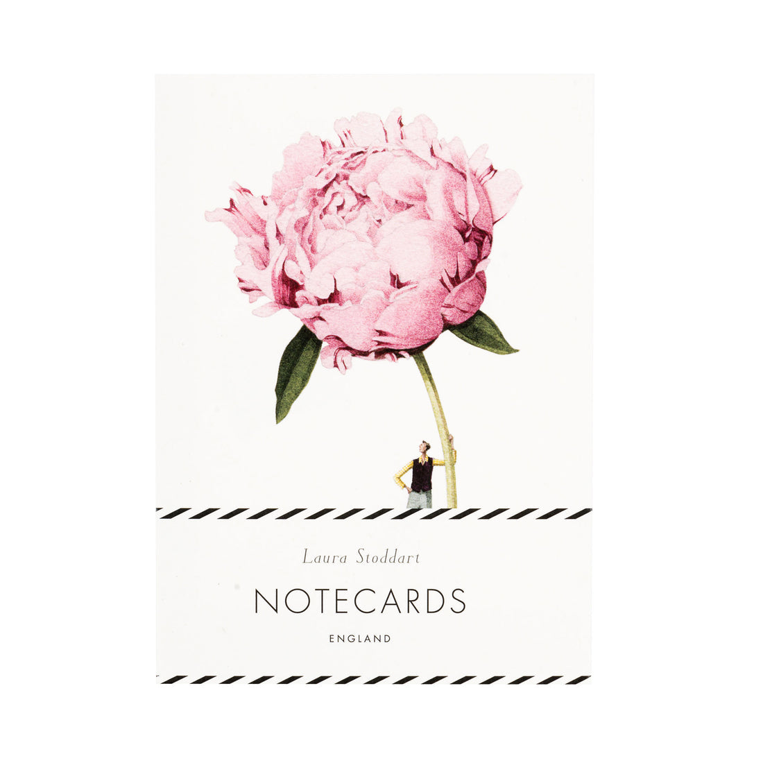 The In Bloom Notecards by Laura Stoddart in retail packaging, showing one of the illustrations. 