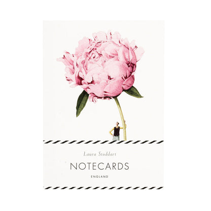 The In Bloom Notecards by Laura Stoddart in retail packaging, showing one of the illustrations. 