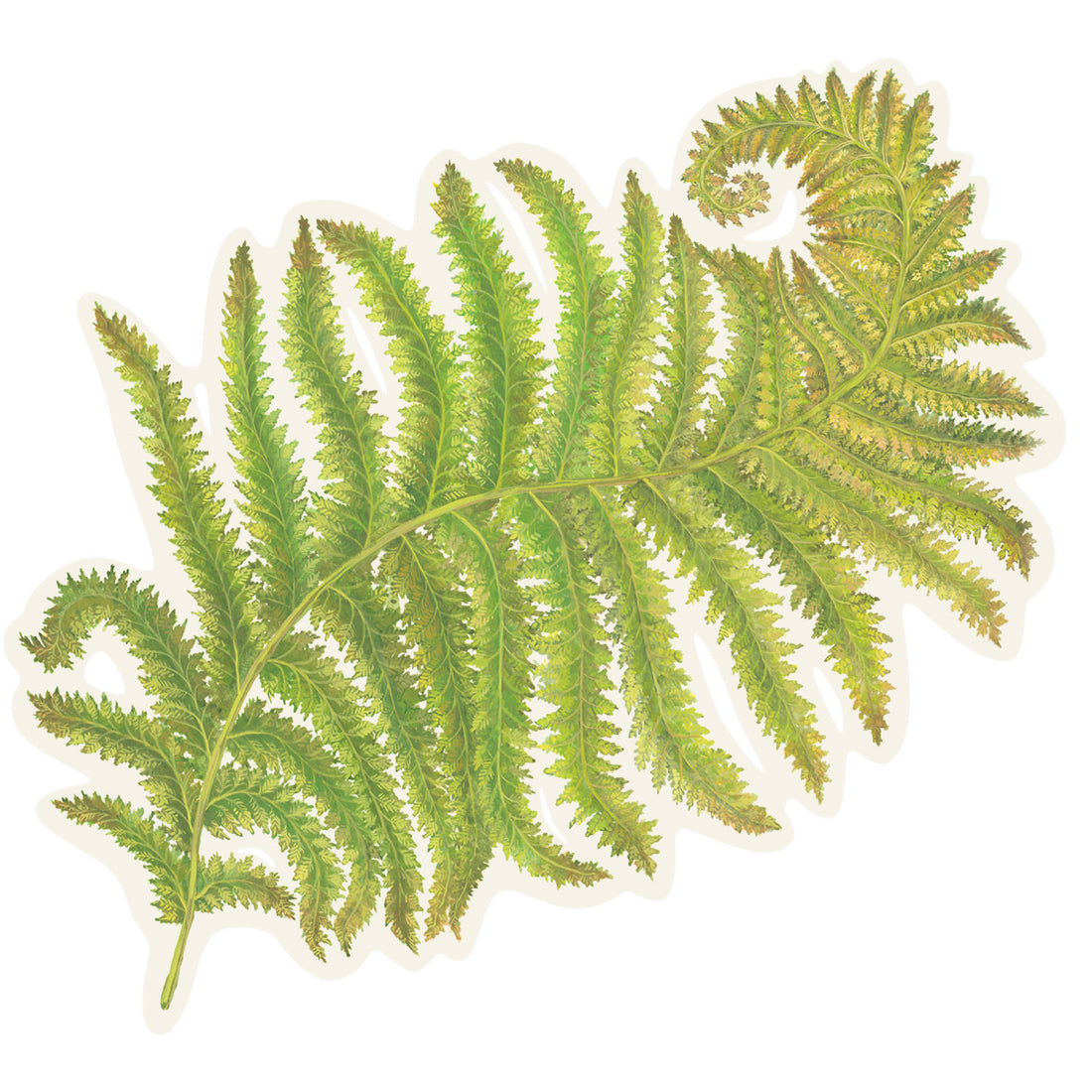 A vibrant green illustrated fern frond that curves delicately into a coil at the tip, die-cut to the shape of the foliage.
