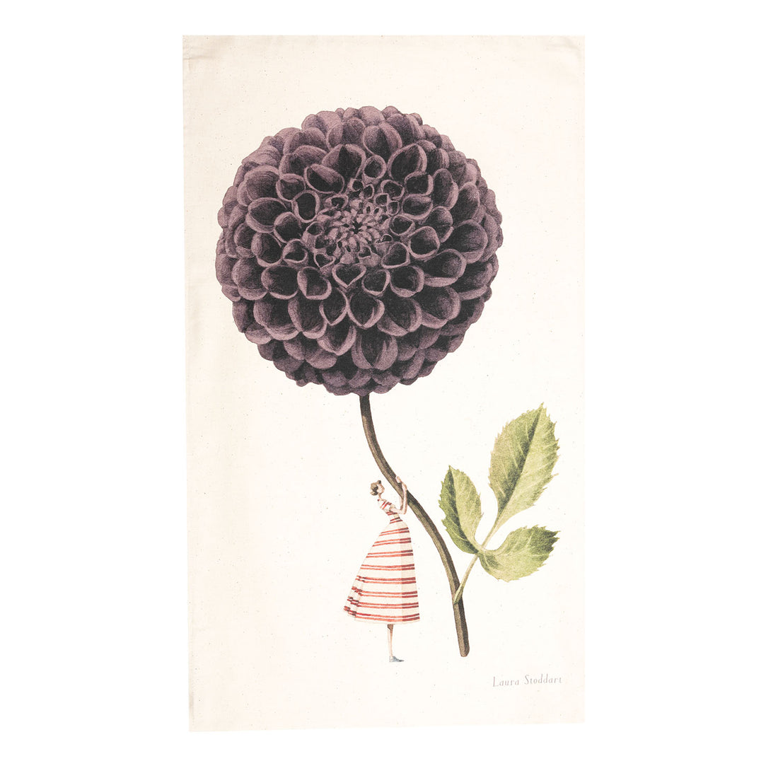 A linen tea towel featuring a whimsical illustration of a small woman holding a gigantic purple dahlia by the stem. Art by Laura Stoddart. 