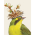 A cream greeting card featuring a charming illustration of a yellow songbird wearing a tuft of grass and white blooms as a hat. 