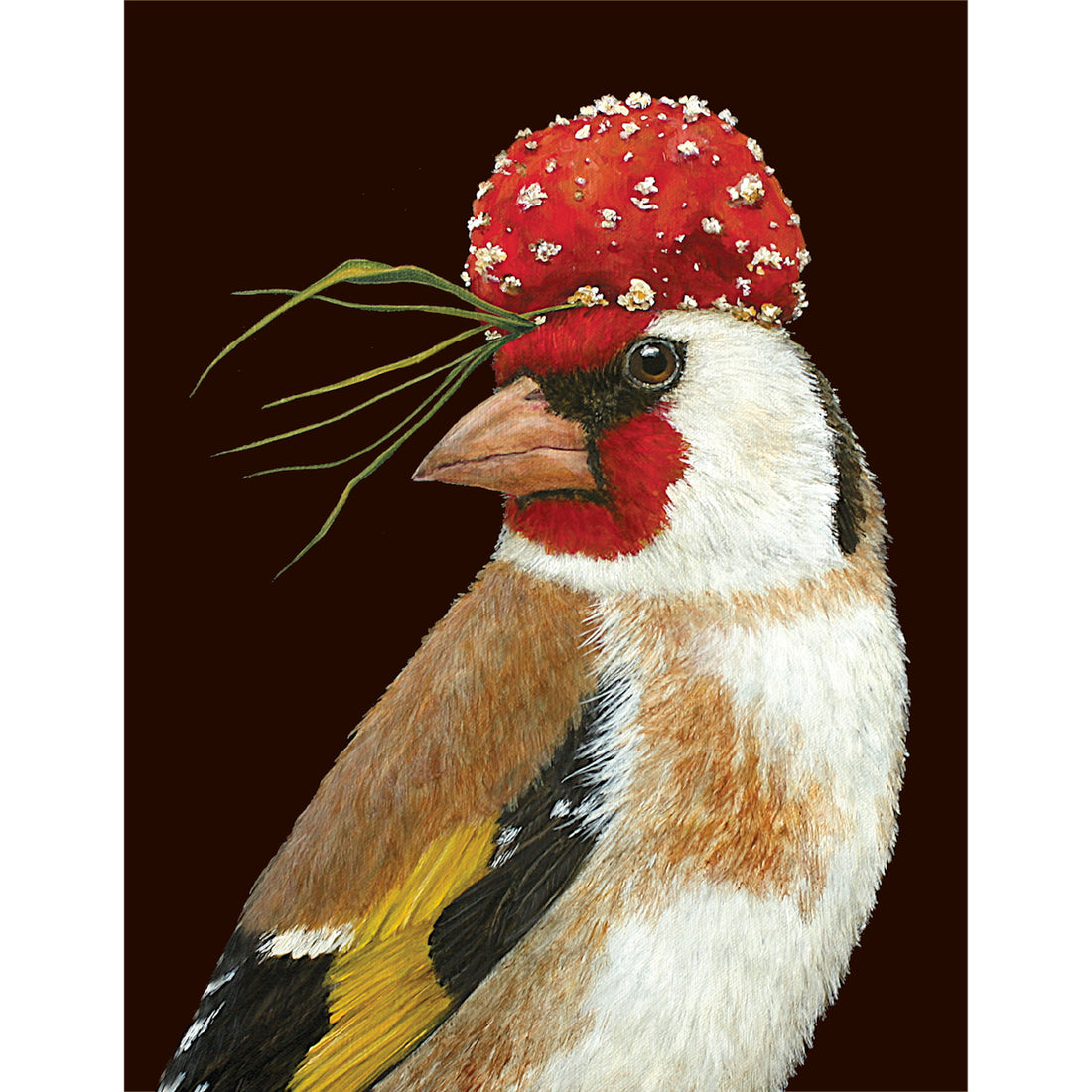 A greeting card featuring a charming illustration of a goldfinch wearing a red and white mushroom cap as a hat on a black background.
