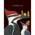 A dark brown greeting card featuring an illustration of a vibrant adult woodpecker balancing 3 acorns on its beak, next to a young woodpecker wearing an acorn on its head as a hat. Gold foil text at the top of the card reads, "I ADMIRE YOU". 