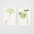 A set of four In Bloom Notecards by Laura Stoddart, each featuring a whimsical illustration of a small person holding a gigantic light green flower by the stem. 