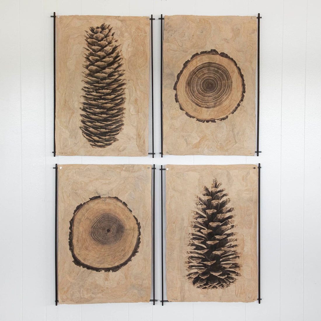 Oak on Amate Sierra Art Print