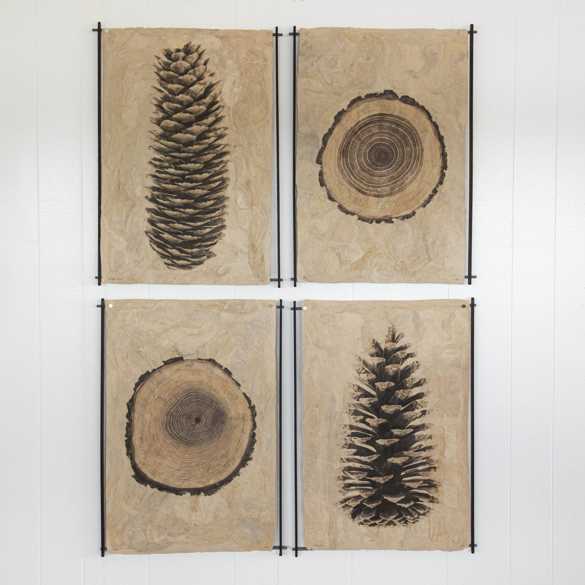 Oak on Amate Sierra Art Print