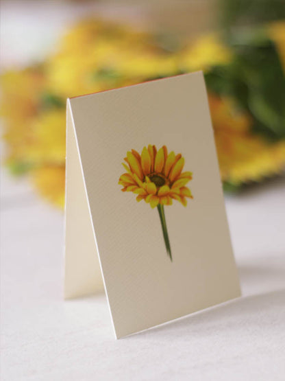 Pop Up Flower Bouquets