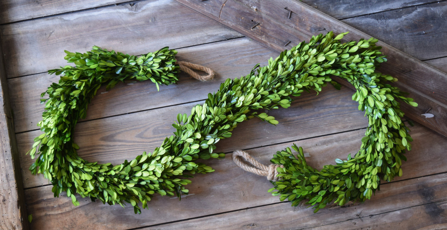 Preserved Boxwood Country Manor Garland