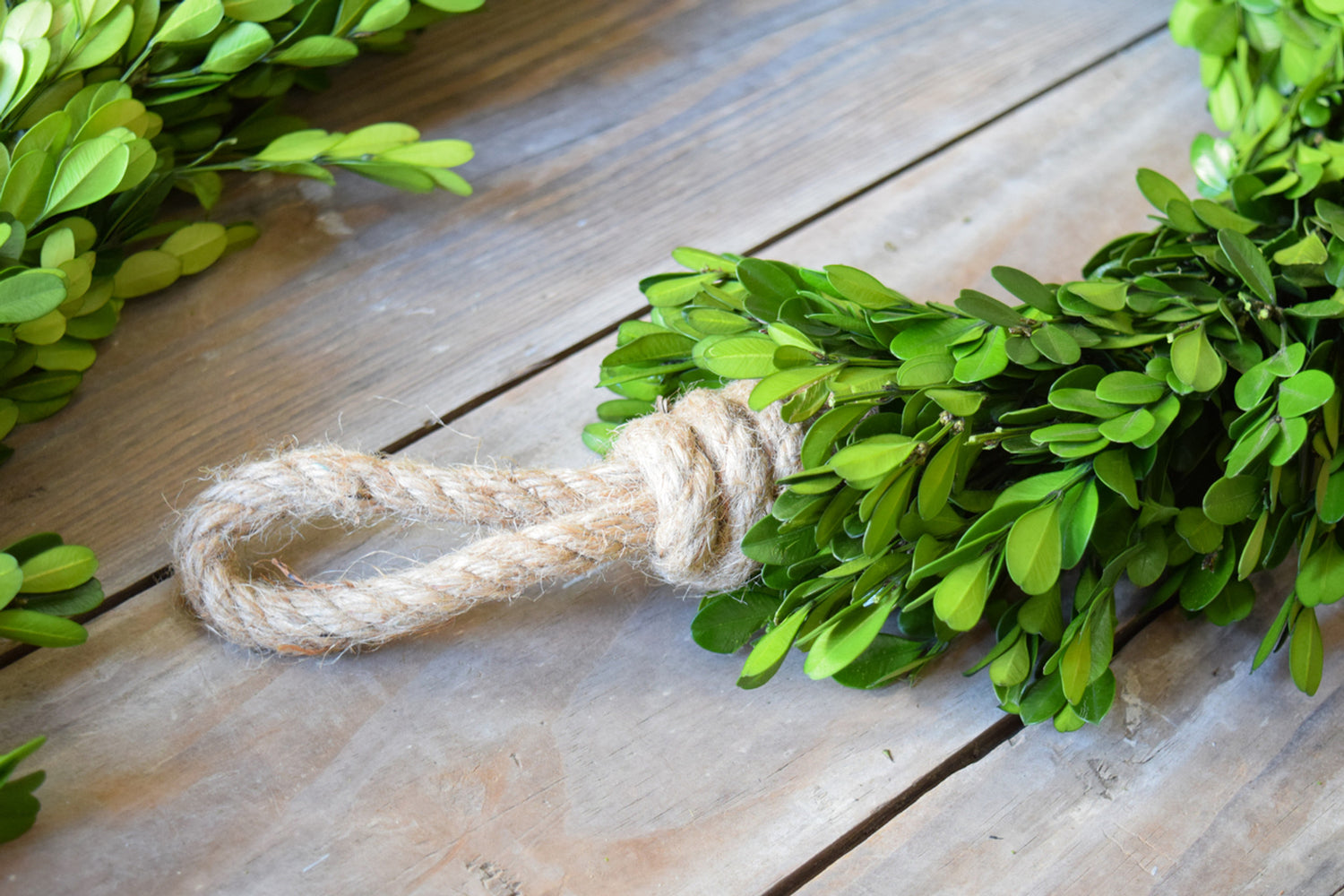 Preserved Boxwood Country Manor Garland