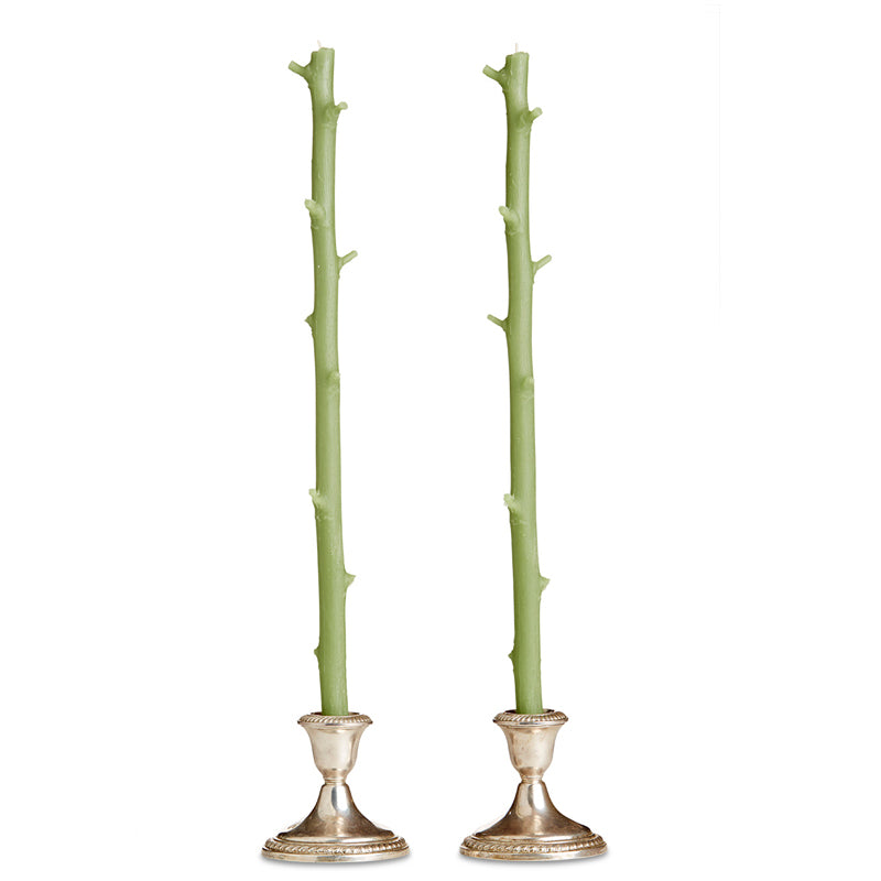 Two Stick Candles resembling tree branches, set in silver candlestick holders against a white background, with a rustic feel.