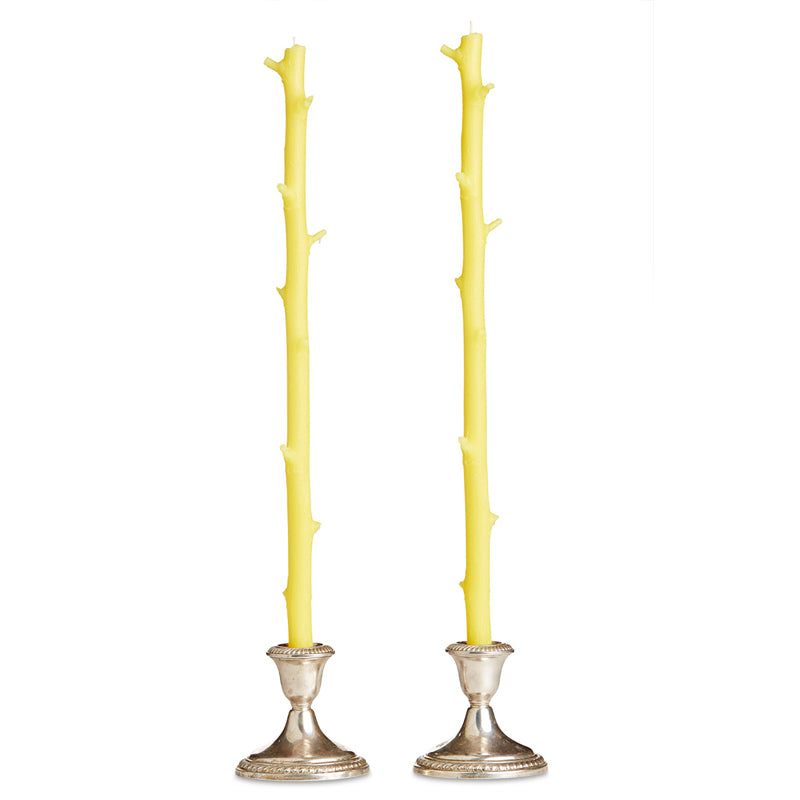 Two Stick Candles resembling tree branches, set in silver candlestick holders against a white background, with a rustic feel.